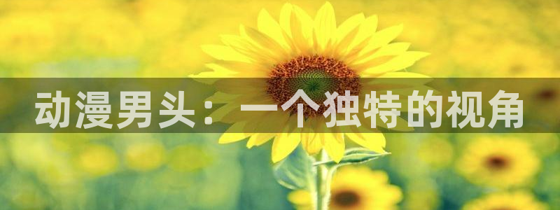 破解版樱花动漫：动漫男头：一个独特的视角