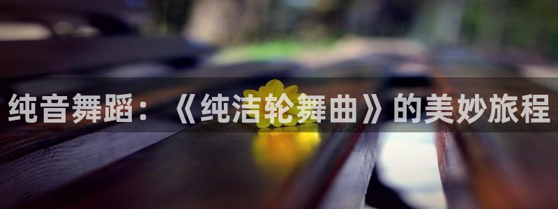 圣痕炼金士樱花动漫：纯音舞蹈：《纯洁轮舞曲》的美妙旅程