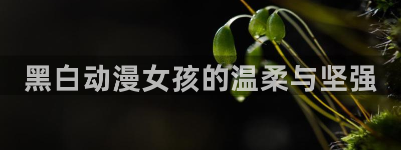 樱花动漫新版：黑白动漫女孩的温柔与坚强